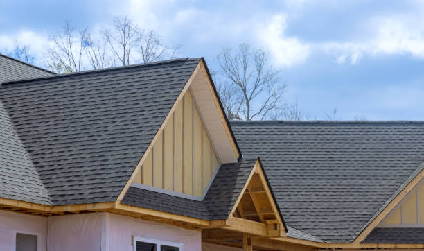 Best Skylight Installation and Repair  in Tarpey Village, CA